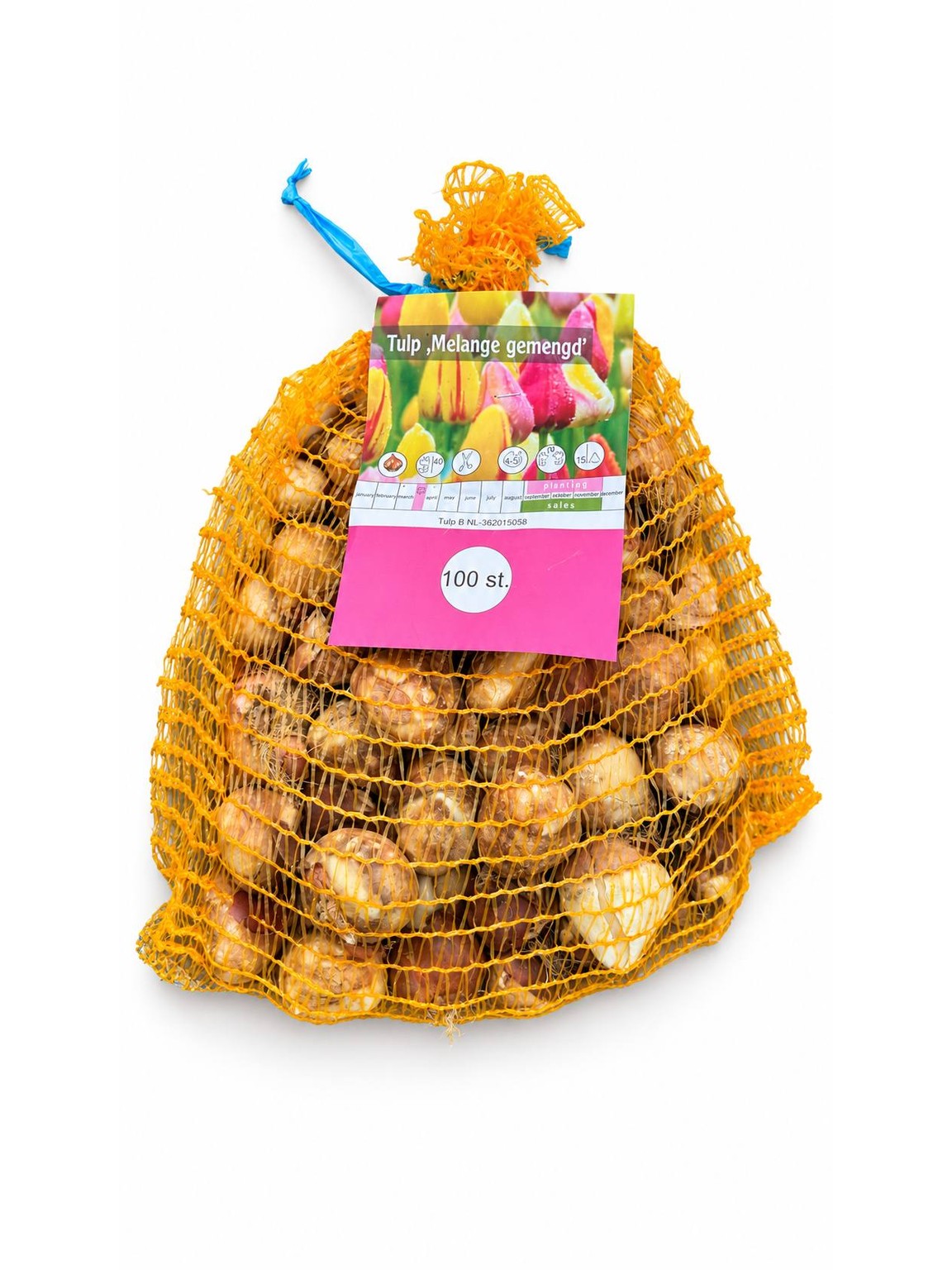 Tulipán cibulky mix 100 ks