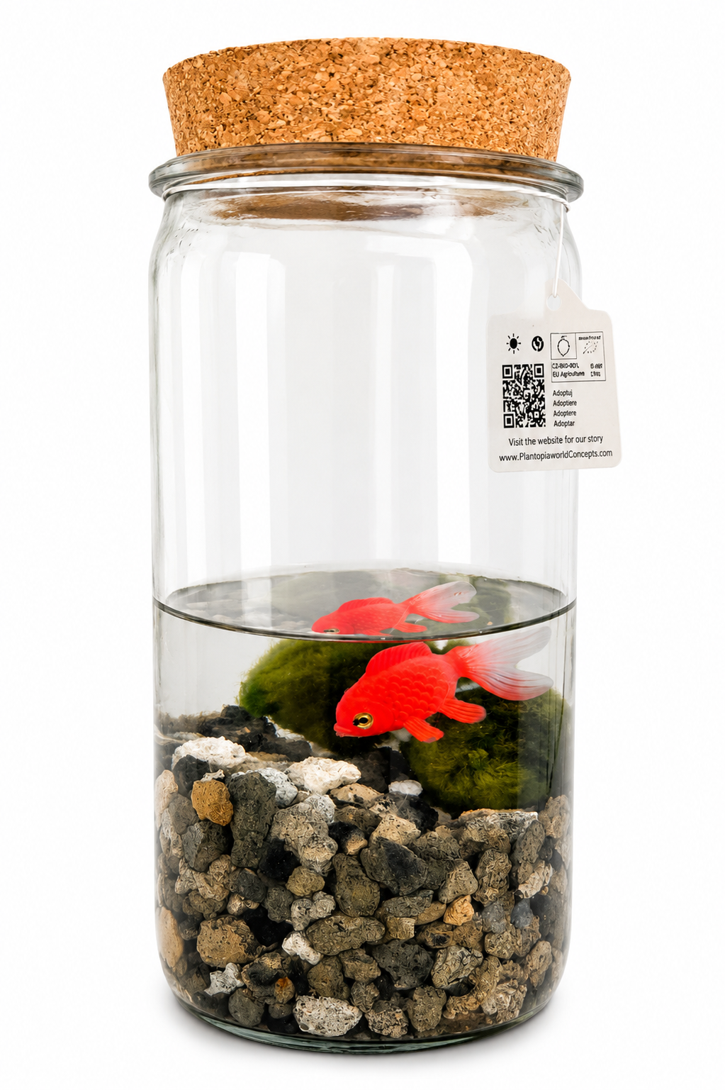 Waterworld Mini Aquarium s mechovými koulemi Marimo